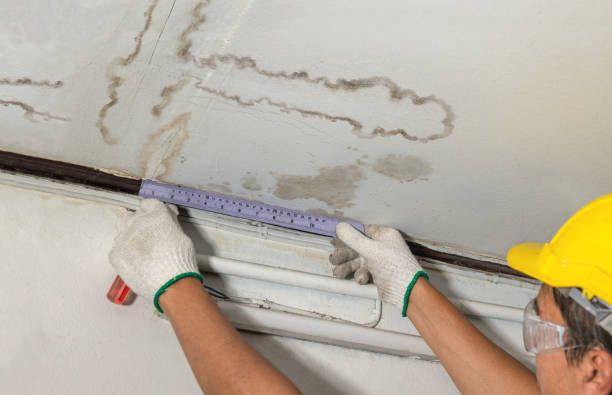 Reliable Mold Remediation contractor in Kitts Hill, OH by Water Damage Irwin